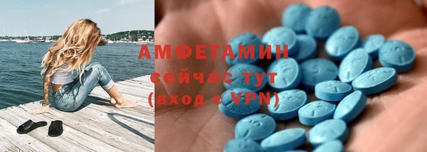 соль ск Инсар