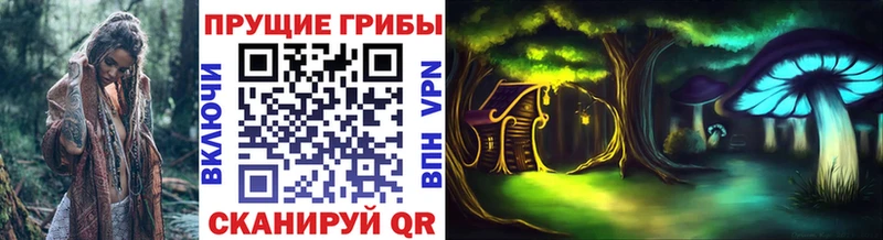 Псилоцибиновые грибы Cubensis  Зея 
